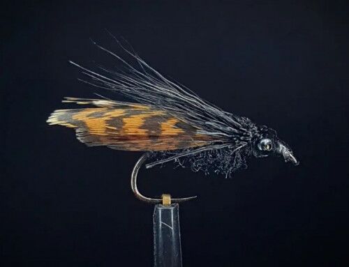 Dry Fly Tying Feathers Explained eventually. - Troutlore