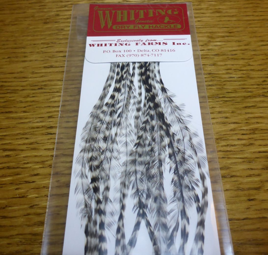 Whiting 100 Pack Dry Fly Hackle Grizzly - Troutlore