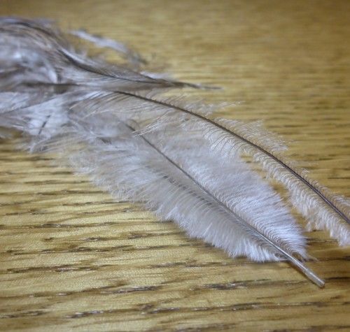 Veniard Grouse Body Plumage Feathers - Troutlore Flytying Shop
