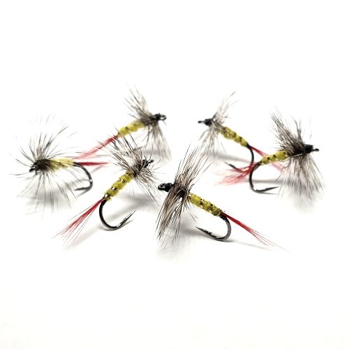 Stretch Back Nymph Half Dozen - Troutlore Fly Tying Shop Australia